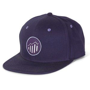 ADOBE SOFTWARE Analytics Computer Tech Company Logo Baseball Hat Cap Photoshop